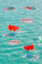 Fishies Sticker Sheet