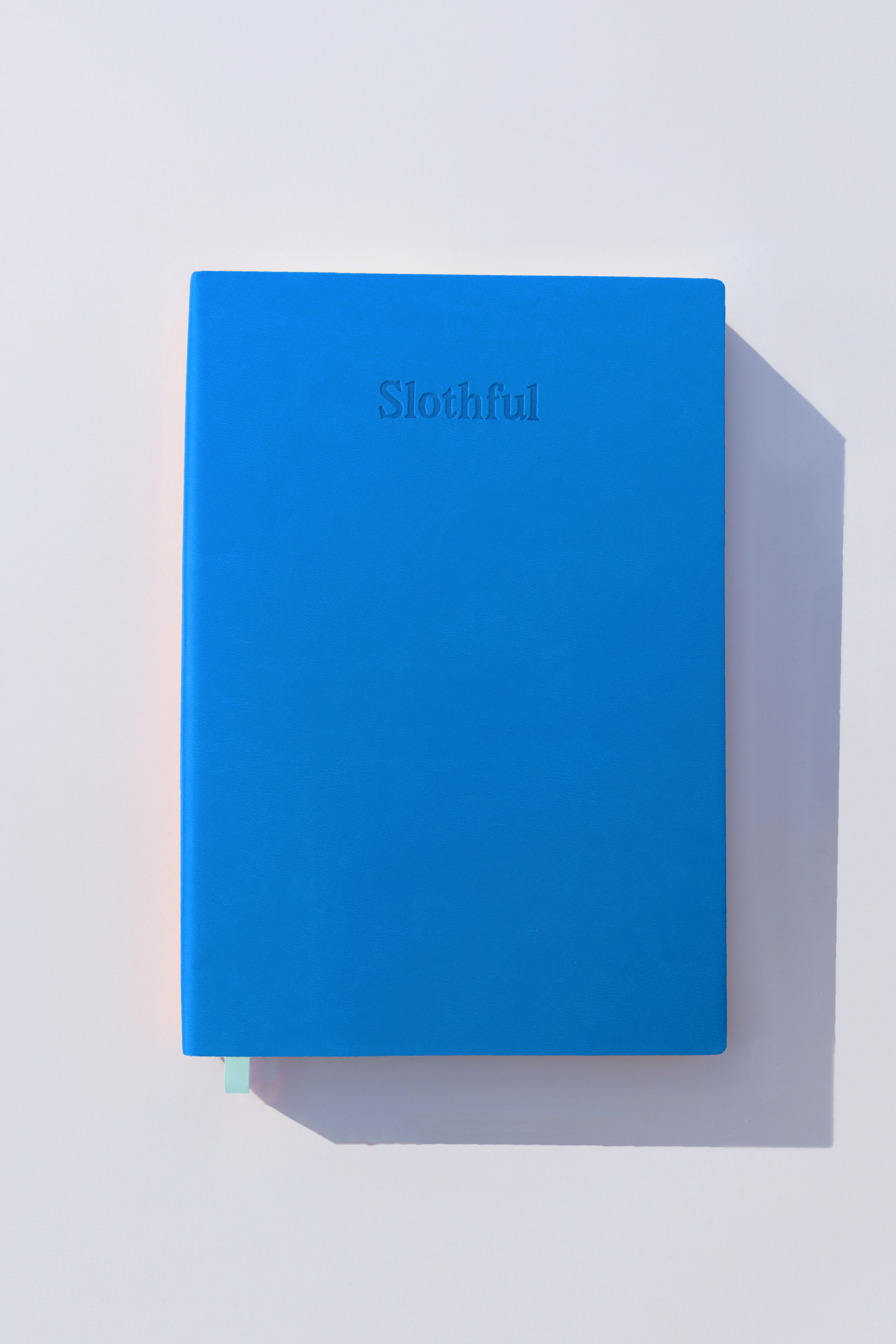 Blueberry Journal